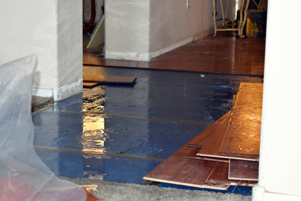 Professional Sewage Cleanup technician working in Hardin, MO